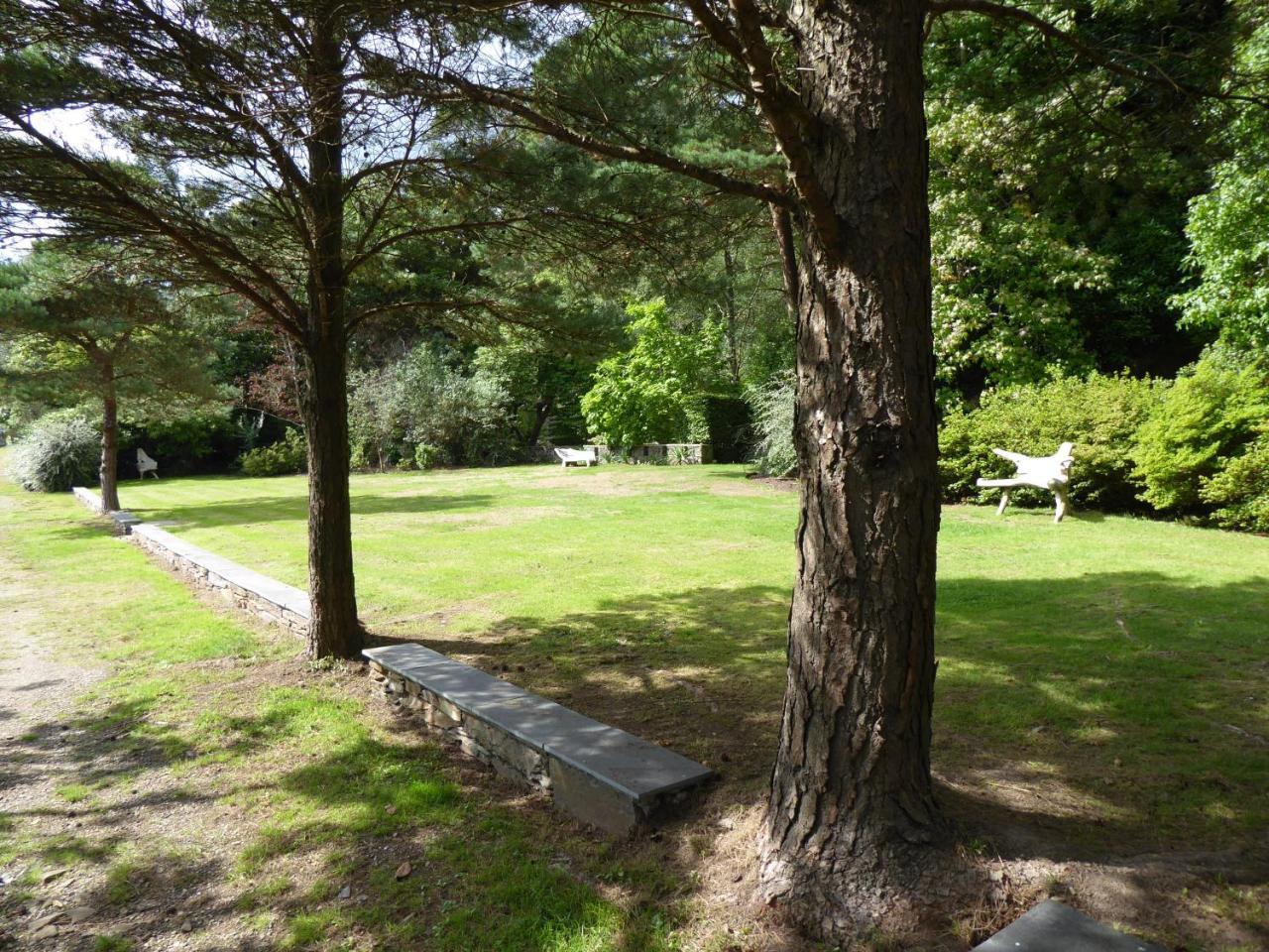 Borthwnog Hall دولغيلوو المظهر الخارجي الصورة